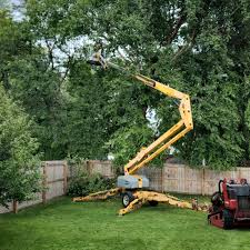 Best Commercial Tree Services  in Union Beach, NJ